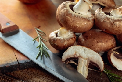 Champignons fr Profis | Nhrstoffe, Sorten, Genussvielfalt und mehr!