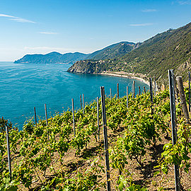Mediterrane Ernährung | Handelshof