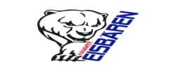 Hammer Eisbären