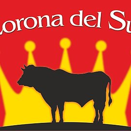 Corona del Sur | Handelshof