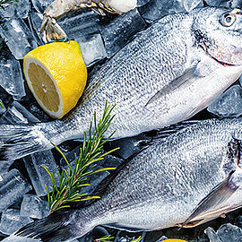 Fisch als Lebensmittelgrundlage | Handelshof