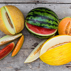 Melonen | Handelshof