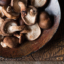 Shiitake | Handelshof