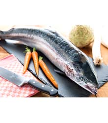 Lachs
