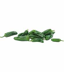 Pimientos De Padrón