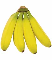 GUT&GÜNSTIG Boahnane Banane