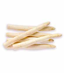 Spargel, weiß-violett