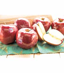 Red Chief oder Red Delicious