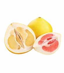 Honigpomelo
