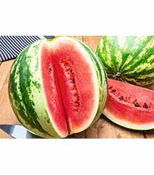 Wassermelone