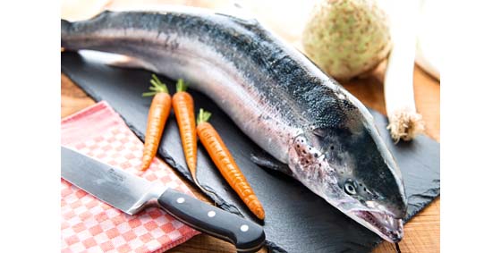 Lachs