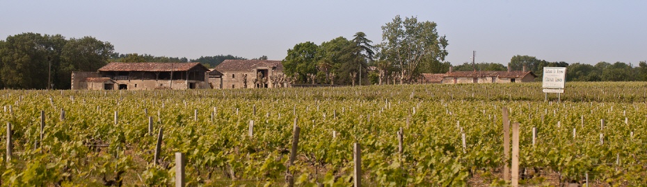 Anwesen_Weingut Anwesen_Weingut