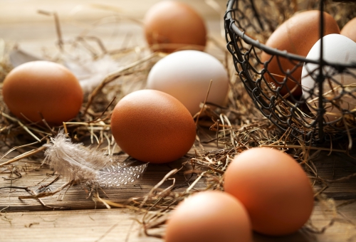 Braune und weisse Eier mit Stroh und Federn auf Holzboden und in einem Drahtkoerbchen