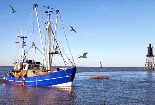 Fischkutter trifft im Hafen ein