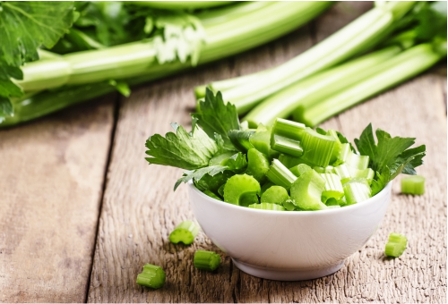 Frische geernteter Sellerie Frische geernteter Sellerie
