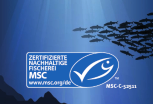 MSC Siegel MSC Siegel