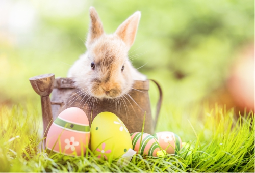 Osterhase mit Osterei