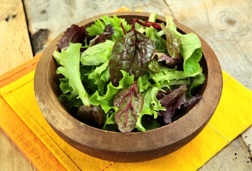 Salat Bowl aus Pflücksalaten