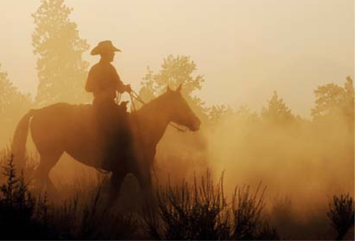 US Cowboy auf seinem Pferd