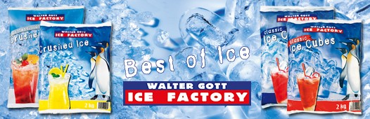 WG IceFactory