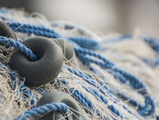 Fischnetz Fischnetz