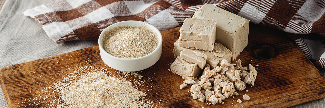 Frische Hefe & Trockenhefe Frische Hefe und Trockenhefe auf einem Holzbrett nebeneinander