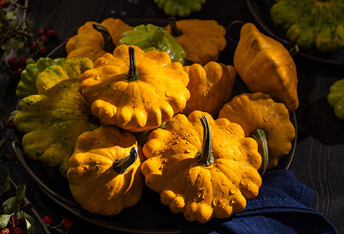 Verschiedene Patissonkürbisse in einer Schale