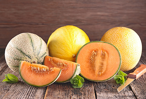 Melonen | Handelshof