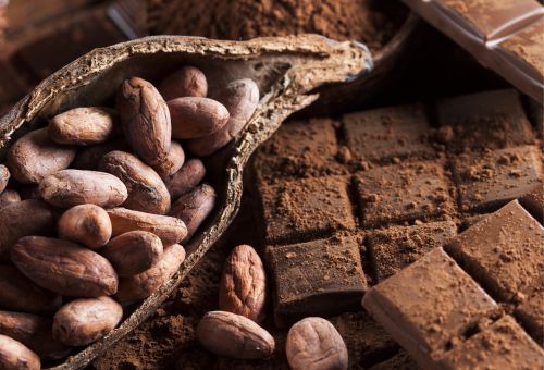 Kakaobohnen und Kakaostücke