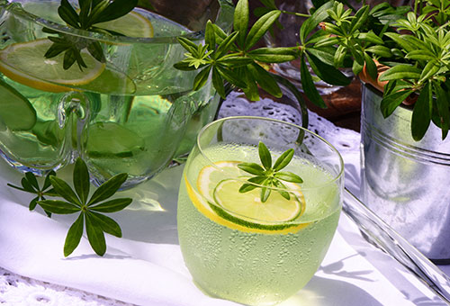 Maibowle in einem Glas mit Waldmeister und Zitrone, eine Karaffe im Hintergrund.