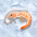 Schalen-, Krusten-, Weichtiere Schalen-, Krusten-, Weichtiere