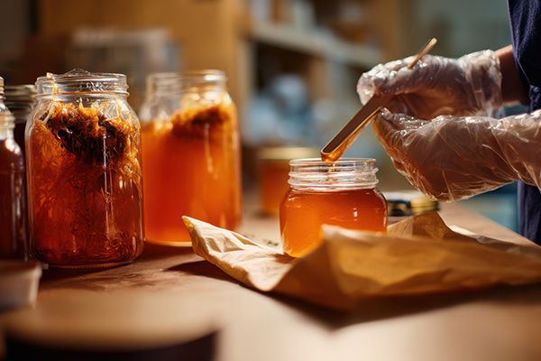 Durchgeführter Fermentationsprozess 